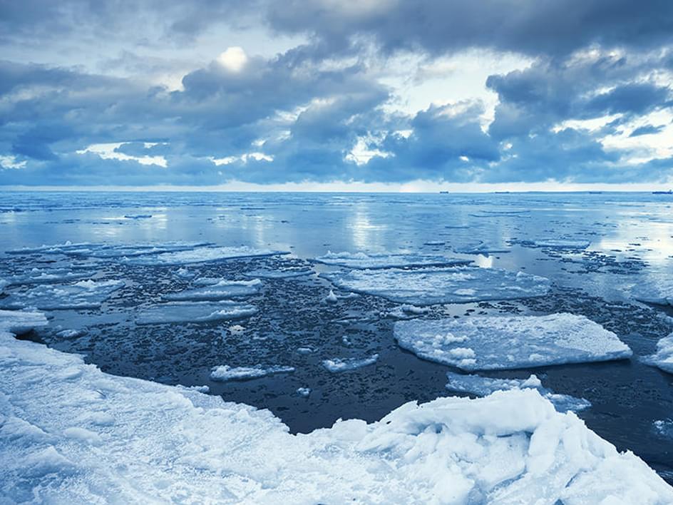 Во льдах Охотского моря застрял теплоход со 127 пассажирами Во льдах Охотского моря застрял теплоход со 127 пассажирами