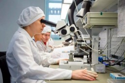 Наука и рынок