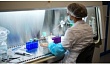 Лекарство для лечения рака печени разработали в России